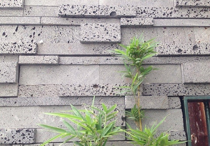 Gạch tổ ong trang trí được rất nhiều người lựa chọn để ốp tường