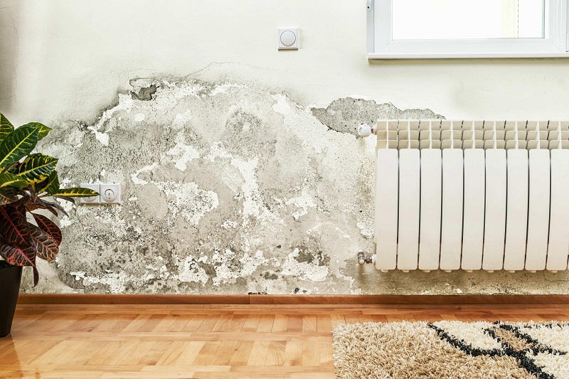 Sơn lên gạch ốp tường giúp tiết kiệm chi phí sửa chữa (Nguồn: Sưu tầm)