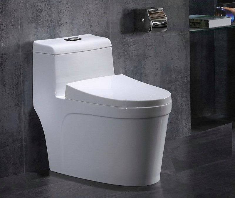 Khi nào nên mua bồn cầu 1 khối? (Nguồn: Sưu tầm)