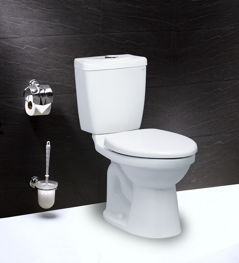 Khi nào nên mua bồn cầu 2 khối? (Nguồn: Sưu tầm)